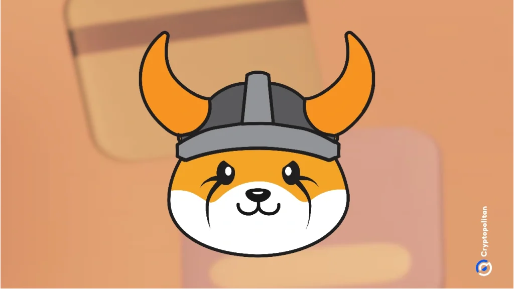 Graphic with Floki's logo