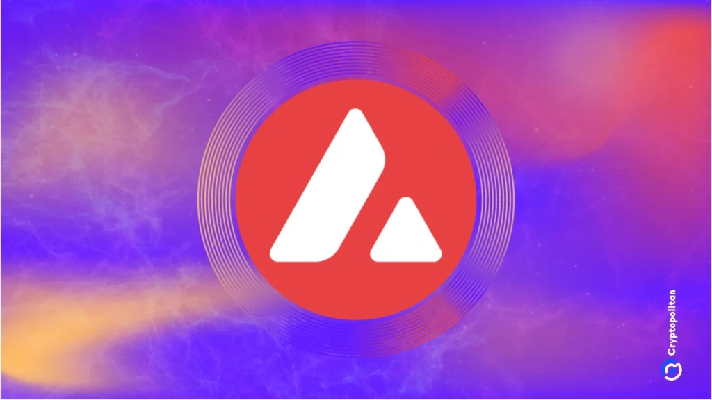 Avalanche foresees a future built on custom blockchains