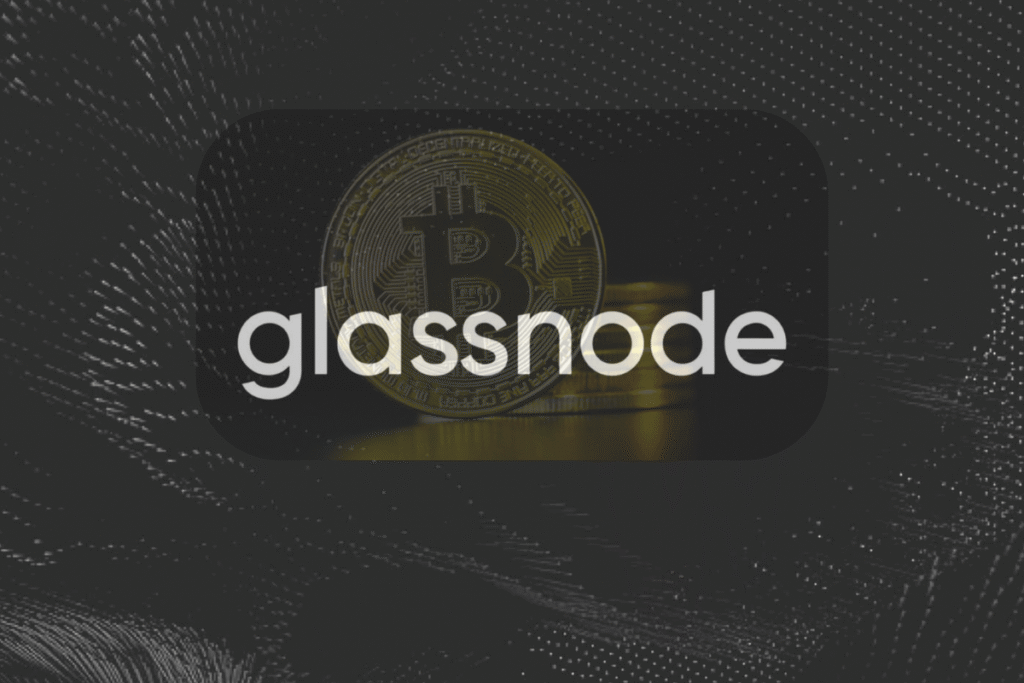 Bitcoin Stabilizes Near Key Zone, But Glassnode Warns Capital Flows Remain Weak Bitcoin Stabilizes Near Key Zone, But Glassnode Warns Capital Flows Remain Weak